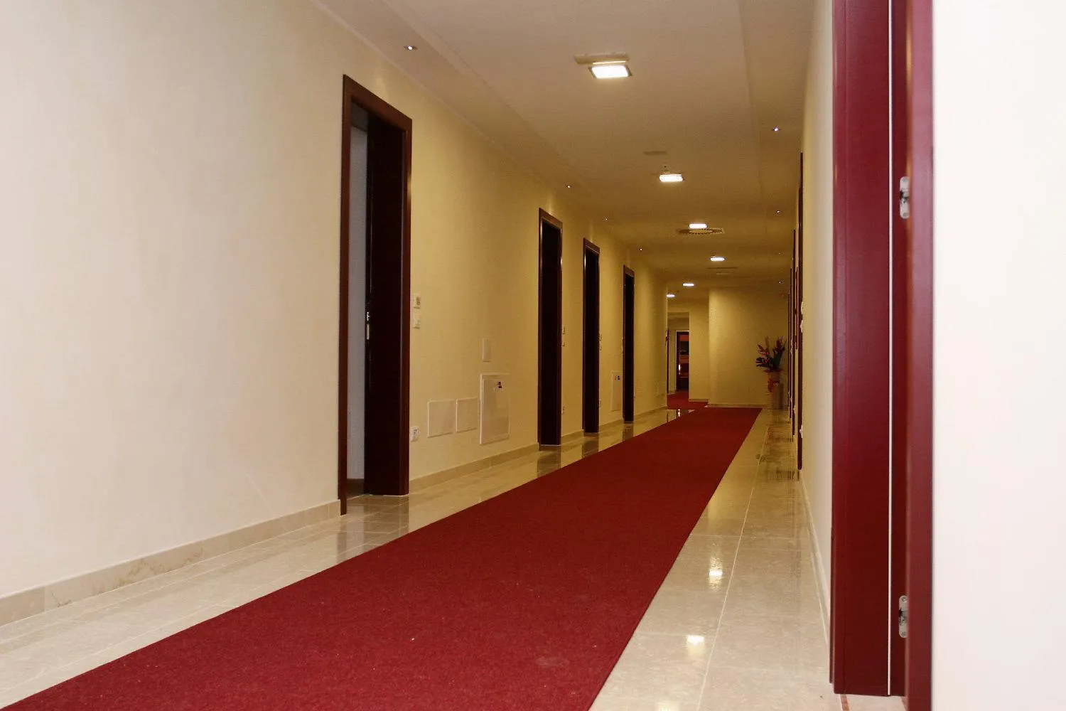 Hotel Calinferno Codogne Italy